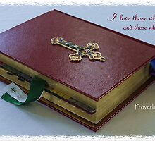 The Good Book by Kenneth Hoffman