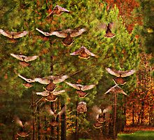 Wild Turkeys by Ginger Barritt