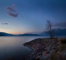 Harrison lake by Eti Reid