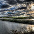 Alnmouth Estuary & Fields by Andrew Pounder