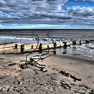 Beach Defence #3 by Andrew Pounder