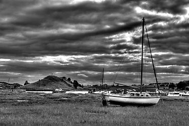 Tarka by Andrew Pounder