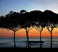 No one there to enjoy the sunset by Hercules Milas