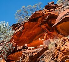 Patterns and Contrasts by Steve Randall