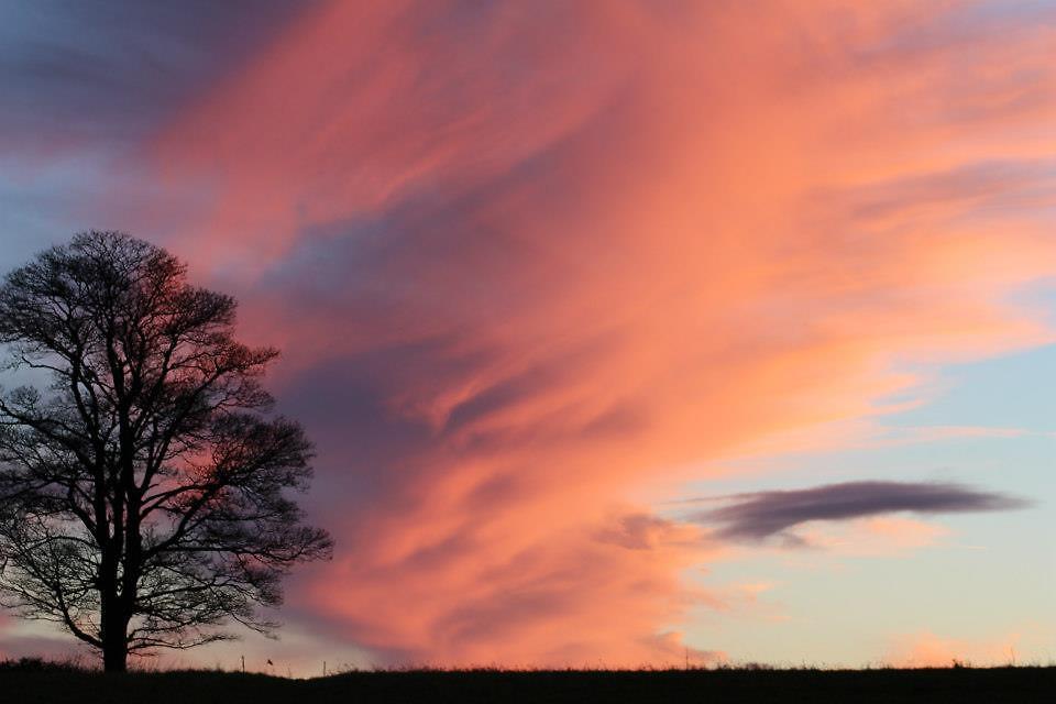 "Pretty Pink Landscape" by BandanaCat | Redbubble