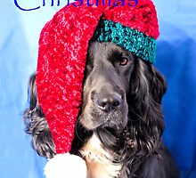 Merry Christmas Dog by JEZ22