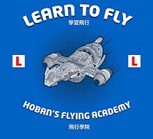 Learn to Fly by tombst0ne
