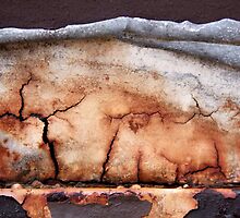 Ravaged by Fire by Kathie Nichols