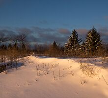 The Morning After the Snowstorm by Georgia Mizuleva