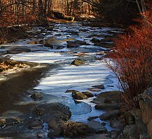 Passion for the Stream by PineSinger