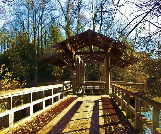 quot abbotsford park british columbia quot by gail sson quot abbotsford park british columbia quot by gail sson