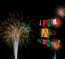 Feliz Ano Nuevo 2014 Colorful Fireworks Card Invitation by Mariannne Campolongo