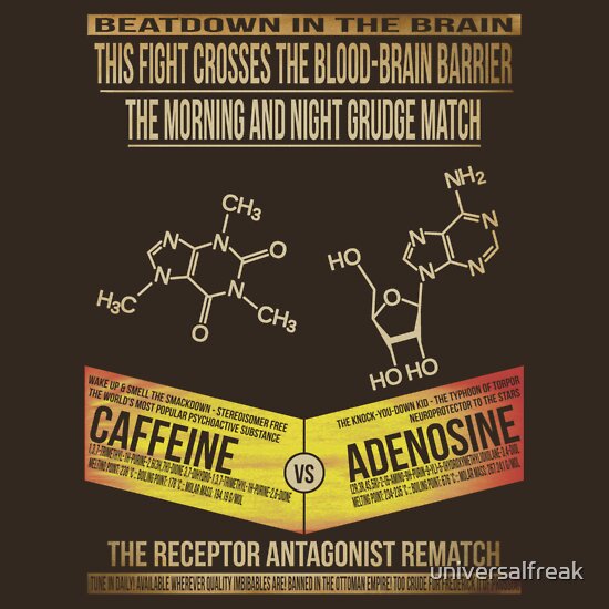 adenosine caffeine structure