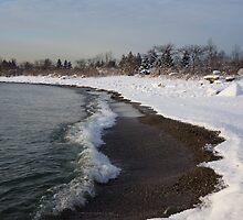 Winter Beach - Lake Ontario, Toronto, Canada by Georgia Mizuleva