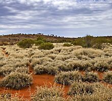 Amata scrubland by Roger Neal