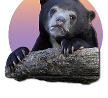 Confession Bear by A2DreaMI5