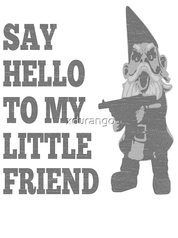 say hello to my little friend
