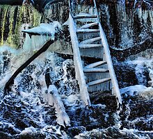 Climbing Life's Ladder by PineSinger