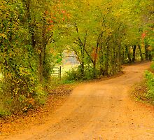Arkansas Country by NatureGreeting Cards ©ccwri