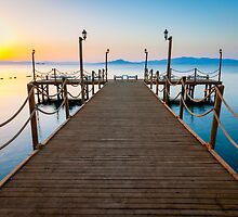 Where Are the Tourists? by Steven Johnson