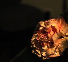 I am but a dying flower by Samantha Mercado