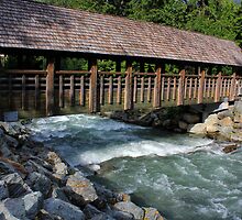 Fitzsimmons Creek and bridge by Charles Kosina