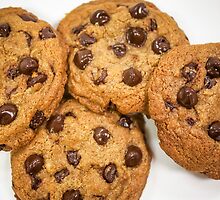 Chocolate Chip Cookies by Tara Brandau