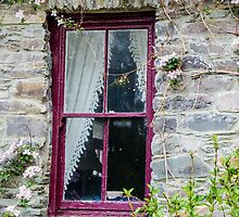 Rustic Window by mcstory
