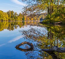 Peaceful Autumn by Karol Livote