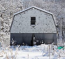 Old Barn after the Snow by Gilda Axelrod