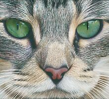 Emerald Eyes Scratch Art by Karen Hull