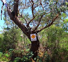 Blind Blight Australia by dundeethecroc