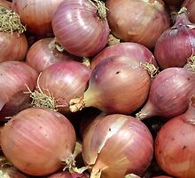 Onions with roots by Arie Koene