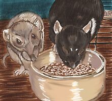 Rats and bowl. by pepsirat