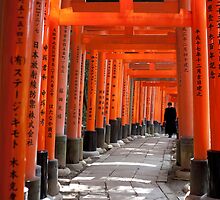 torii gate path by photoeverywhere