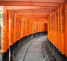 red torii gates by photoeverywhere