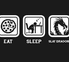 Eat, Sleep, Save Dragons (Repeat) by thehookshot