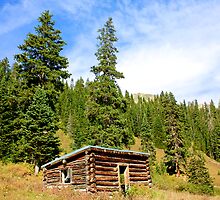 Lone Cabin - Aspen Colorado by Jesse Diaz