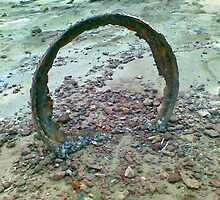 I threw it in the sea and it came back to me rusted and troubled. by PJ Ryan