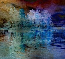 Island in the Storm by Sarah Vernon