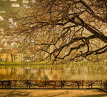 Good morning! Bergen, Norway. by Paulius Bruzdeilynas
