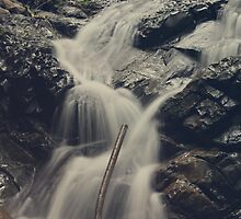 Interruptions by Laurie Search