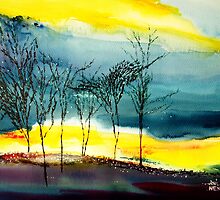 Sunset 2 by Anil Nene