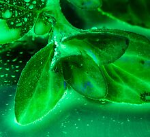 Glowing MInt by Symbiosis - Justin Brosey