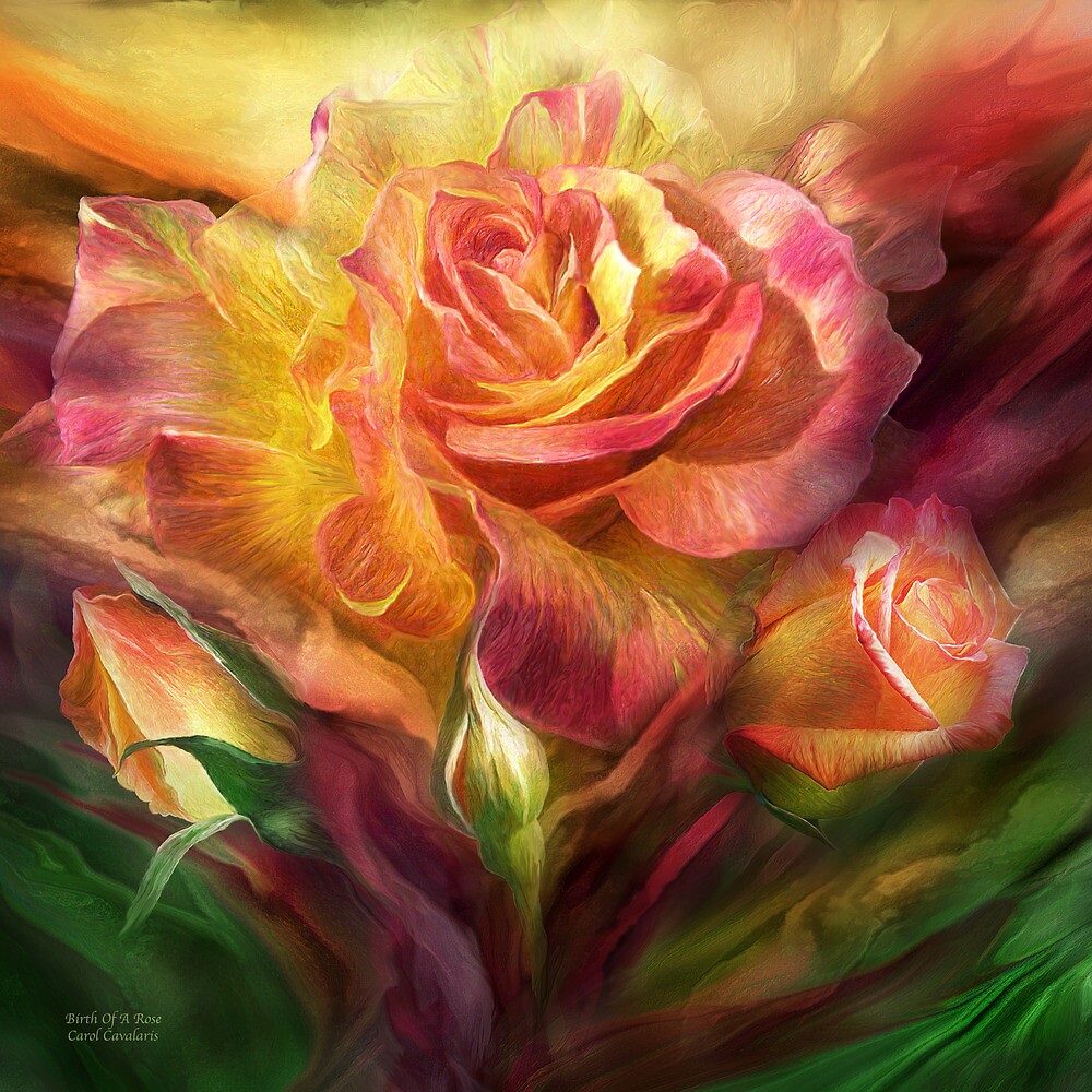 Te regalo una rosa - Página 6 Flat,1000x1000,075,f.u3