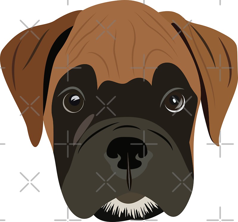 Boxer: Stickers | Redbubble