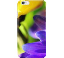 Colorful Flower Photo