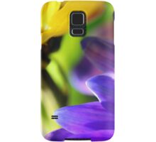 Colorful Flower Photo