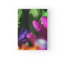 Macro Photo Collage of Colorful Flowers