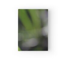 Macro Photo Green Grass